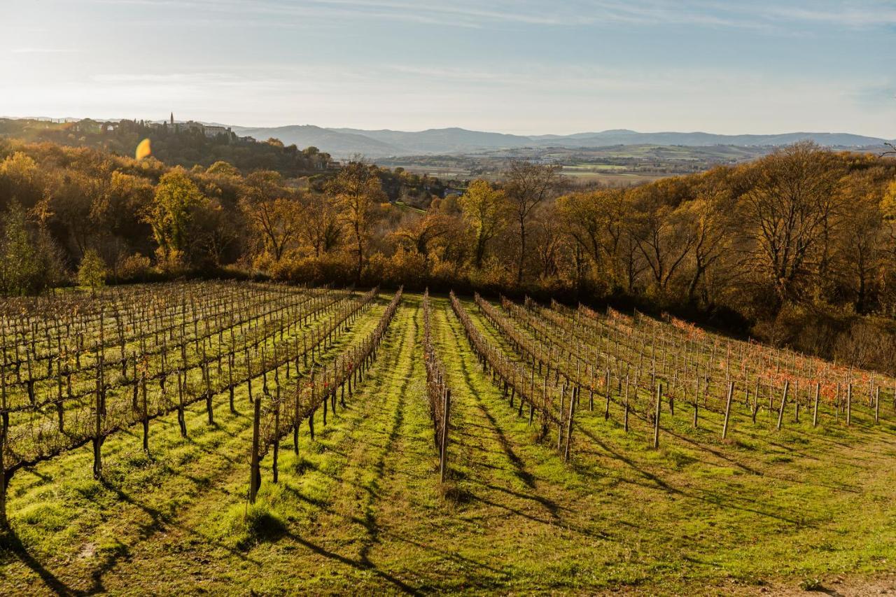 Agriturismo Le Cerque Collazzone Экстерьер фото