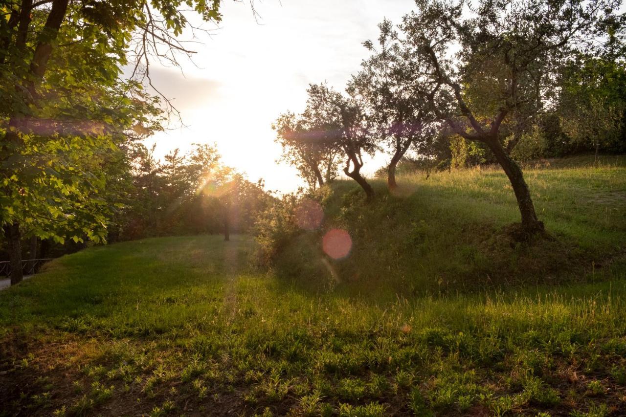 Agriturismo Le Cerque Collazzone Экстерьер фото